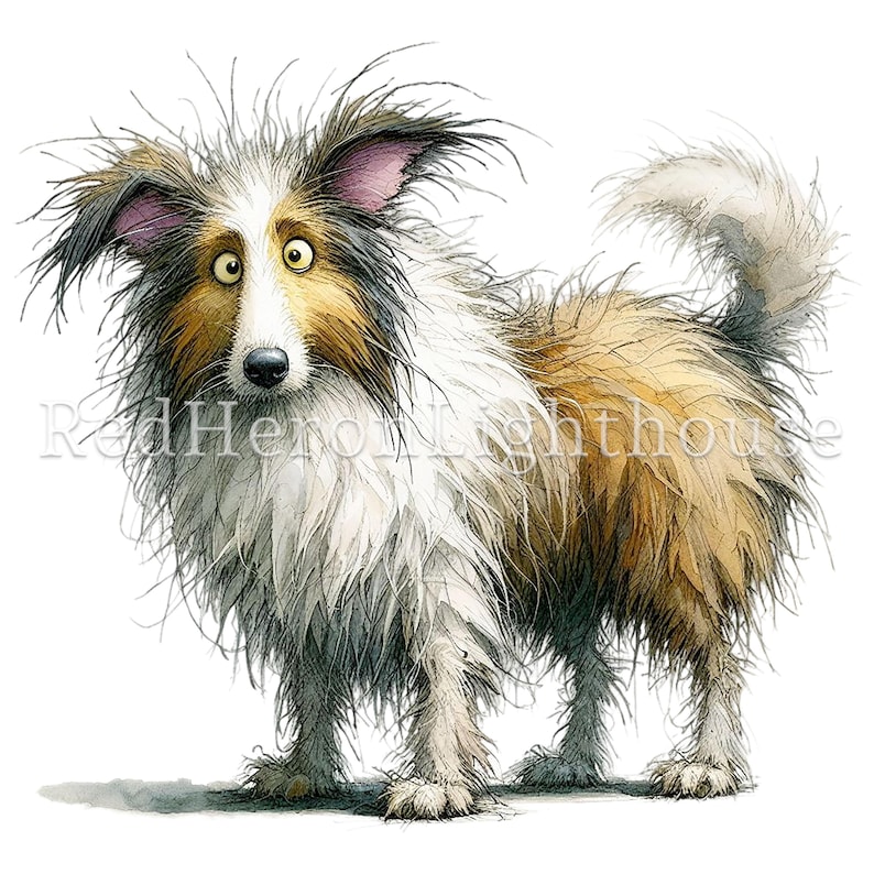 May include: Watercolor illustration of a shaggy dog with a surprised expression. The dog has a mix of brown, white, and black fur, with large, yellow eyes and a fluffy tail. The text "Red Heron Lighthouse" is visible.