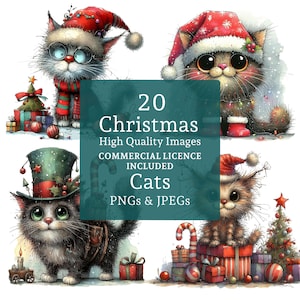 Imágenes prediseñadas de gato navideño, 20 PNG/JPG, imágenes festivas de gatitos, diseños extravagantes de animales de invierno, elaboración de regalos navideños, USO COMERCIAL / AR0813