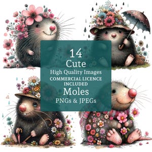 Niedlicher Maulwurf Clipart 14 PNGs und JPEGs, wunderliche Maulwurfbilder, Tier mit Blumen, Kartenherstellung, Junk Journaling, Nagetiere KOMMERZIELLE NUTZUNG | AR0722