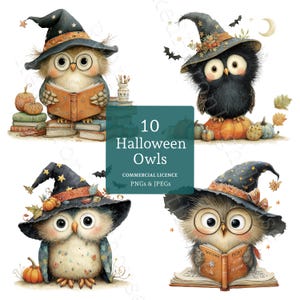 Może przedstawiać: Cyfrowa ilustracja przedstawiająca cztery kreskówkowe sowy w czapach czarownic, dyniach i książkach. Obraz zawiera tekst "10 Halloween Owls" i "Commercial Licence PNGs & JPEGs". Sowy są w różnych kolorach i pozach, idealne na Halloween.