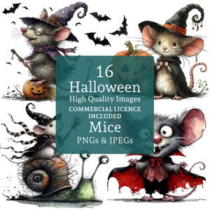 Clipart di topi di Halloween per progetti creativi, 16 PNG/JPG, Clipart di animali stravaganti, topo strega, USO COMMERCIALE Download digitale / AR0820