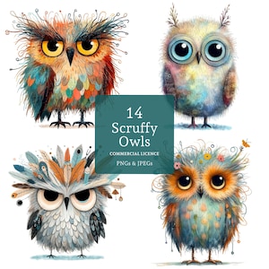 Scruffy Owl Clipart, 14 hochwertige PNGs / JPGs, bunte Eulen Bilder, Kartenherstellung, Junk Journaling, süße Vogel Kunst, KOMMERZIELLE NUTZUNG | BR0219-1