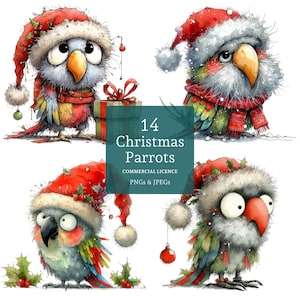 Clipart de papagaio de Natal, 14 PNGs/JPGs de alta qualidade, pássaros festivos peculiares em chapéus de Papai Noel, artesanato engraçado de feriado, USO COMERCIAL | AR1205-3