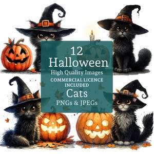 Gato negro y calabaza de Halloween, imágenes prediseñadas, 12 PNG/JPGS, lindos gatos brujos, arte caprichoso de Halloween, USO COMERCIAL, descarga digital / AR0711-1
