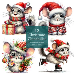 Christmas Chinchilla Clipart, 12 High Quality PNGs/JPGs, Cute Festive Chinchillas, Winter Holiday Pet Clipart, COMMERCIAL USE | AR1125-2