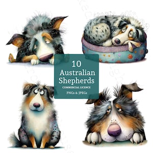May include: A digital illustration featuring four cartoon Australian Shepherds in various poses. The dogs have expressive eyes and fluffy fur in shades of black, brown, and white. The image includes the text "10 Australian Shepherds" with "PNGs & JPEGs".