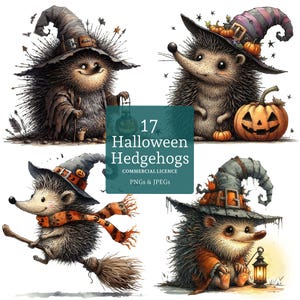 Halloween Hedgehog Clipart, 17 PNGs/JPGs de alta qualidade, Animal fofo de outono, Arte peculiar de feriado, USO COMERCIAL Download digital | AR0930-1