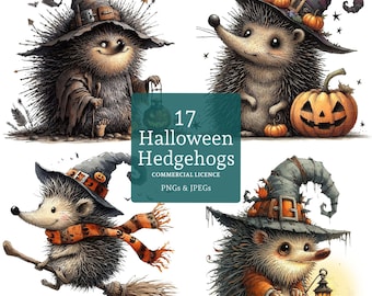 Halloween Hedgehog Clipart, 17 High Quality PNGs/JPGs, Cute Autumn Animal, Quirky Holiday Art, COMMERCIAL USE Digital Download | AR0930-1