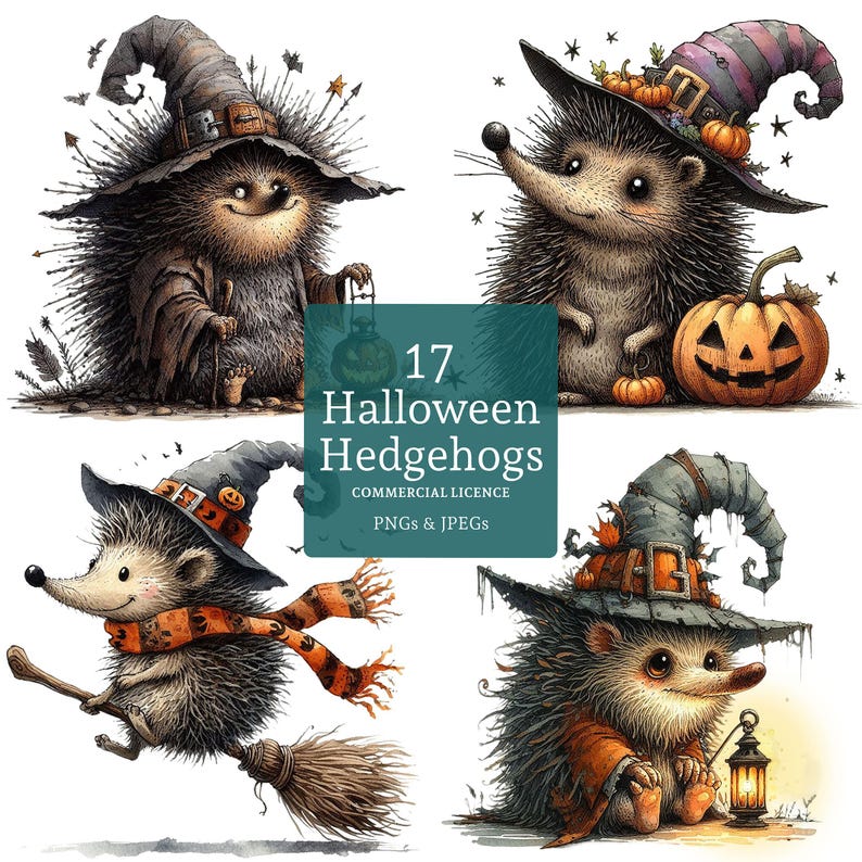 May include: A set of 17 digital illustrations of Halloween hedgehogs wearing witch hats and holding various props like brooms, lanterns, and pumpkins. The illustrations are in a cartoon style and have a whimsical feel.