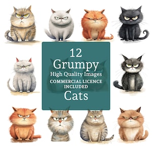 12 divertidos gatos gruñones, imágenes prediseñadas, diseños de alta calidad, imágenes de gatos enojados y malhumorados, 12 PNG/JPG, manualidades, USO COMERCIAL, descarga digital / AR0507-1