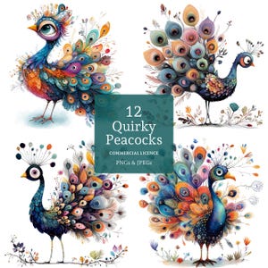 May include: A set of 12 digital illustrations of quirky peacocks with colourful, detailed feathers. The peacocks are in various poses and have expressive eyes. The text "12 Quirky Peacocks" and "COMMERCIAL LICENCE PNGs & JPEGs" is displayed on a teal background.