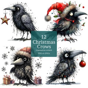 Weihnachten Krähe Clipart, 12 hochwertige PNGs / JPGs, lustige Raben Clipart, schrullige Vogel Kunst, Winter Urlaub Basteln, KOMMERZIELLE NUTZUNG | AR1011-1