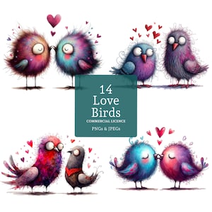 Lindos pájaros enamorados, 14 PNG/JPG de alta calidad, pájaros de San Valentín, imágenes de parejas románticas, manualidades digitales y en papel, USO COMERCIAL / BR0120-1
