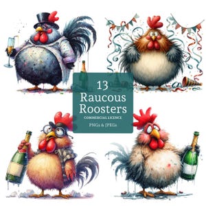 Clipart de gallo divertido, 13 PNG/JPG de alta calidad, arte para fiestas y celebraciones, pájaros peculiares, creación de tarjetas, papel/digital, uso comercial / BR0314-1
