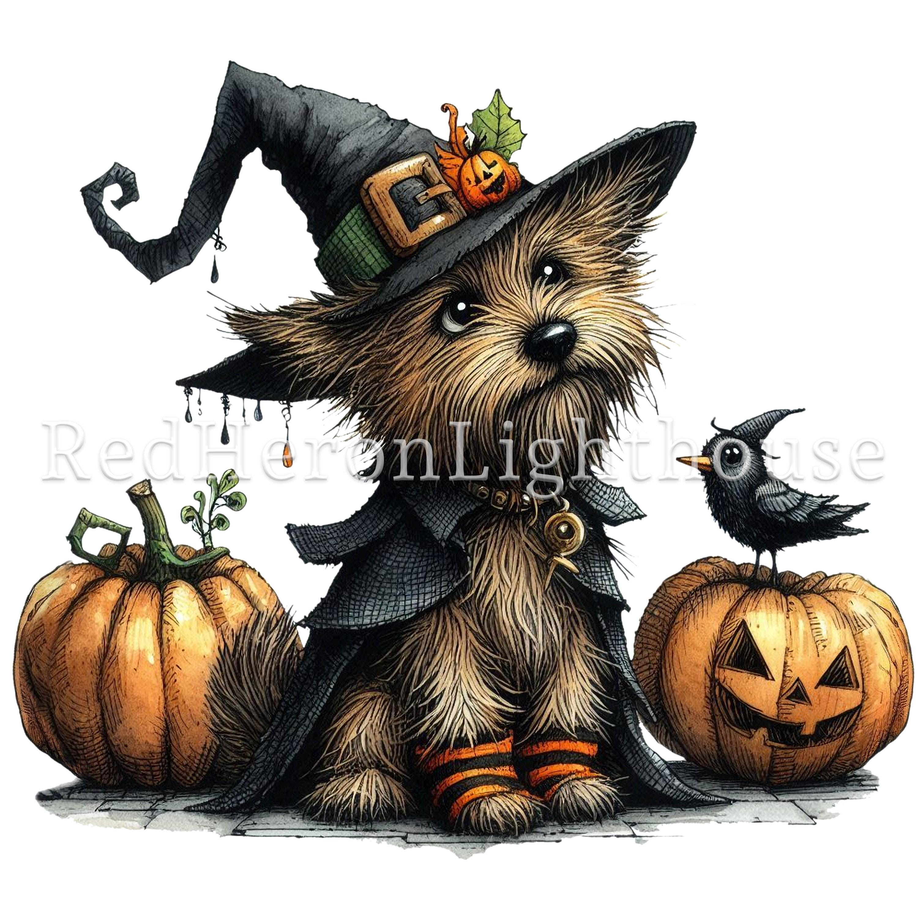 Halloween Witch Dog Clipart Set, 12 Png/jpegs, Quirky Dog & Pumpkins ...