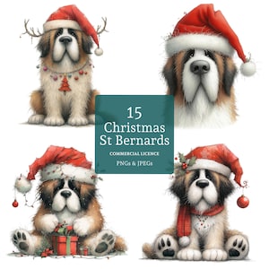 Weihnachten Bernhardiner Clipart, 15 hochwertige PNGs / JPGs, Aquarell Festliche Hunderasse Clipart, Papier / digitales Handwerk, KOMMERZIELLE NUTZUNG | BR0612