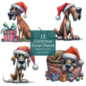 Clipart Noël dogue allemand, 13 PNGs/JPG aquarelles de haute qualité, clipart chien original, fabrication de cartes, créations en papier, UTILISATION COMMERCIALE | BR0619