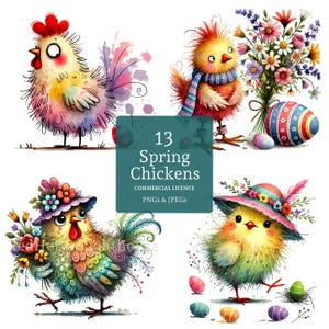Clipart poulet de Pâques, 13 fichiers PNG/JPG de haute qualité, images fantaisistes d'oiseaux floraux printaniers, fabrication de cartes, tenue d'un journal, UTILISATION COMMERCIALE | BR0121-1