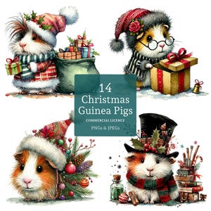 Christmas Guinea Pig Clipart, 12 High Quality PNGs/JPGs, Cute Festive Guinea Pigs, Winter Holiday Pet Images, COMMERCIAL USE | AR1126