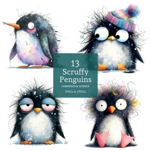 Pingüino desaliñado Clipart 13 PNG/JPG de alta calidad, lindos pingüinos de invierno, creación de tarjetas, diario, descarga digital USO COMERCIAL / BR0218-1