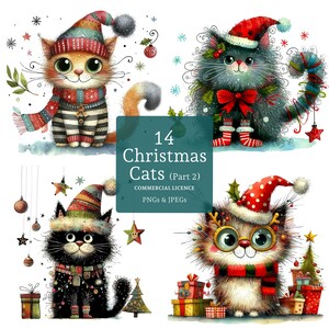 Clipart kerstkat, 14 hoge kwaliteit png-/jpg-bestanden, vakantiekatjeafbeeldingen, eigenzinnig winterdier, kerstcadeau knutselen, COMMERCIEEL GEBRUIK | AR1029-1