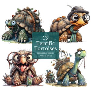 Funny Tortoises Clipart Set, 13 PNGs/JPGs, Quirky Tortoises, Cute Pet Art, Whimsical Reptiles, COMMERCIAL USE, Digital Download | AR0612 image 1