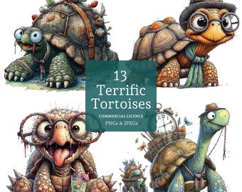 Grappige schildpadden clipartset, 13 PNGs/JPGs, eigenzinnige schildpadden, schattige huisdier kunst, grillige reptielen, COMMERCIEEL GEBRUIK, digitale download | AR0612
