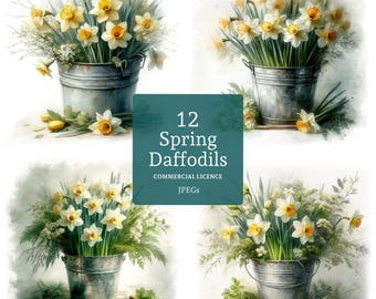 Daffodils In A Bucket Clipart 12 High Quality JPGs, Watercolor Spring Floral Clipart, Card Making, Junk Journaling COMMERCIAL USE | BR0211-1