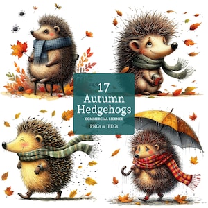 Clipart hérisson automne, 17 PNG/JPG de haute qualité, animal de la forêt automne, artisanat de Thanksgiving, usage commercial téléchargement numérique | AR1001