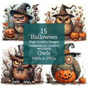 Clipart Halloween hiboux 15 PNGs/JPG, dessins d'Halloween drôles, hiboux chapeau de sorcière, clipart automne mignon USAGE COMMERCIAL téléchargement numérique | AR0628