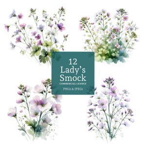 Clipart koekoeksbloem, 12 hoge kwaliteit png-/jpg-bestanden, aquarel lente wilde bloemenafbeeldingen, papier/digitale ambacht, bruiloft clipart | BR0603-1