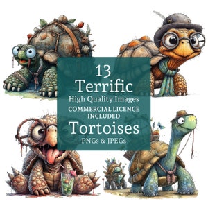 Lustige Schildkröten Clipart Set, 13 PNGs / JPGs, schrullige Schildkröten, niedliche Haustierkunst, wunderliche Reptilien, KOMMERZIELLE NUTZUNG, digitaler Download | AR0612