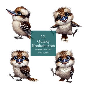 Imágenes prediseñadas de kookaburra, 12 PNG/JPG de alta calidad, imágenes prediseñadas de aves australianas, arte para amantes de las aves, manualidades y diarios sobre la vida silvestre USO COMERCIAL / AR1219
