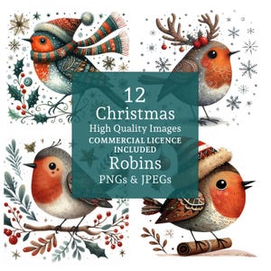 Joli ensemble de cliparts de Noël, 16 PNG/JPG, clipart festif de Robin, Images de vacances saisonnières, USAGE COMMERCIAL, téléchargement numérique | AR0722-1