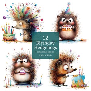 Clipart anniversaire hérisson, 12 fichiers PNG/JPG haute qualité, anniversaire animal fantaisiste, fabrication de cartes, travaux manuels papier/numériques UTILISATION COMMERCIALE | BR0411