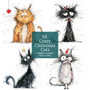 Schrullige Weihnachtskatze Clipart, 16 PNGs / JPGs, ungepflegte festliche Kätzchen, Katzenliebhaber Kunst, wunderliche Tier Basteln, KOMMERZIELLE NUTZUNG | AR1025-1