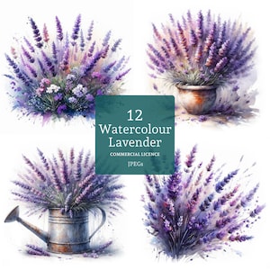 Lavendel Clipart 12 hochwertige JPGs, Aquarell lila Blumen Bilder, Kartenherstellung, Junk Journaling, Papierhandwerk KOMMERZIELLE NUTZUNG | BR0310-1