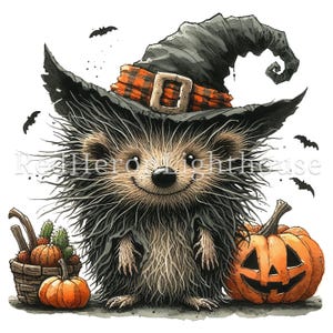 May include: A black and brown hedgehog wearing a witch's hat with a plaid band and a buckle. The hedgehog is smiling and has a jack-o'-lantern pumpkin next to it.