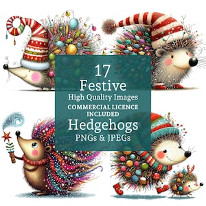 Clipart hérisson Noël 17 PNGs/JPG, Clipart hérisson festif mignon, images animaux hiver originales USAGE COMMERCIAL téléchargement numérique | AR0802
