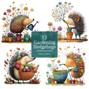 Jardinage hérisson clipart 14 fichiers PNG/JPG haute qualité, aquarelle hérissons originaux, fabrication de cartes, journalisation, fantaisie UTILISATION COMMERCIALE | BR0326