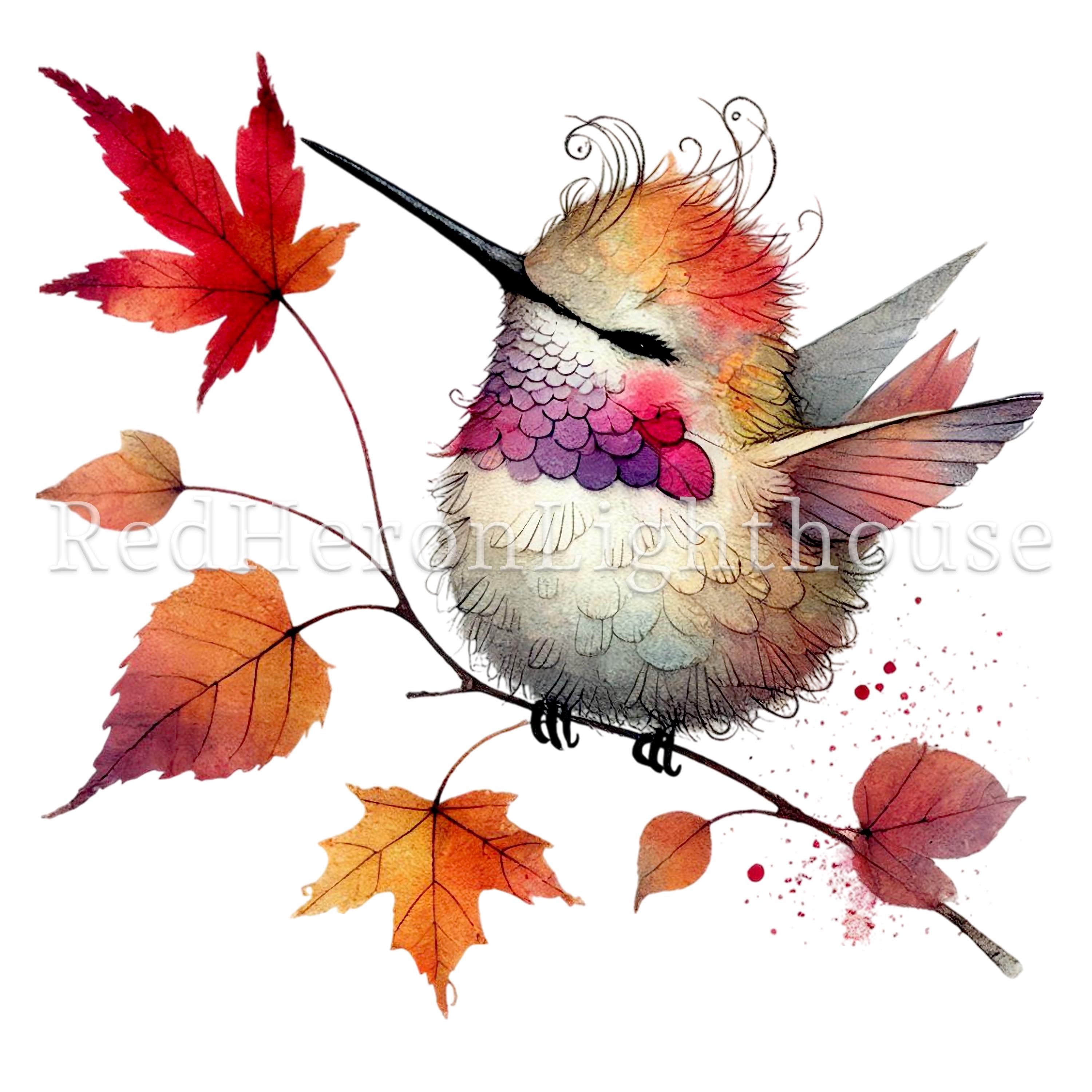 Whimsy Hummingbird Quirky Hummingbird Clipart, 15 High Quality Pngs/jpgs, Caricature Bird ...