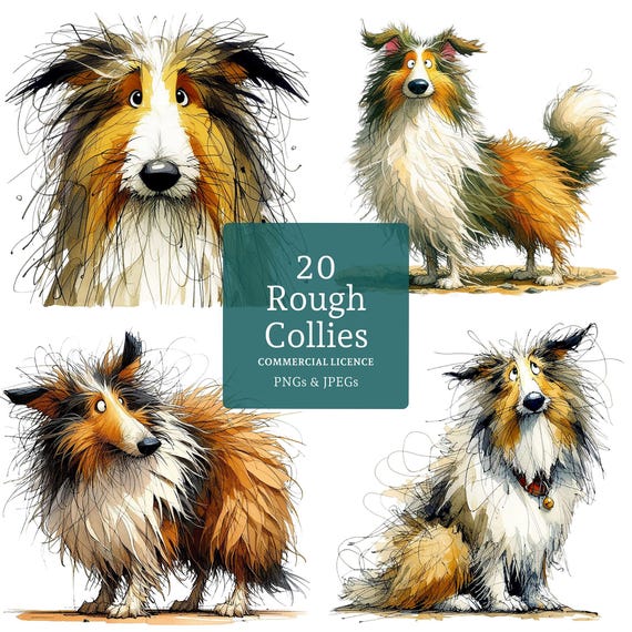Rough Collie Clipart 20 PNGs/JPGs, Caricature Dog Art, Christmas Pet Images, Funny Animal Clipart COMMERCIAL USE Digital Download | AR1010-2