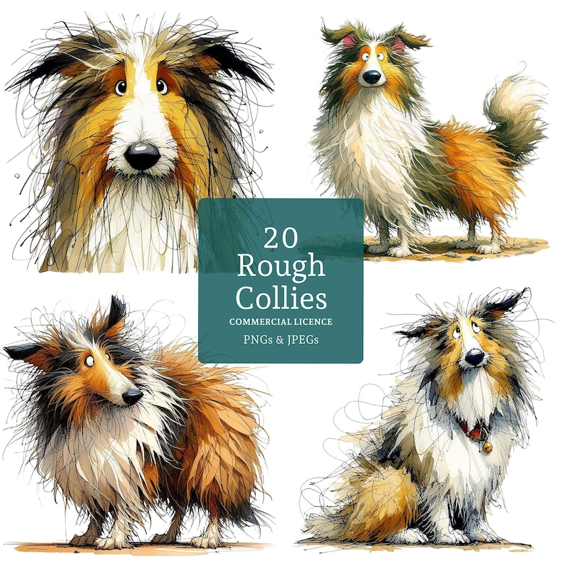 May include: Watercolor illustrations of Rough Collie dogs in various poses. The dogs have brown, white, and black fur. The image includes the text "20 Rough Collies" and "Commercial Licence PNGs & JPEGs".