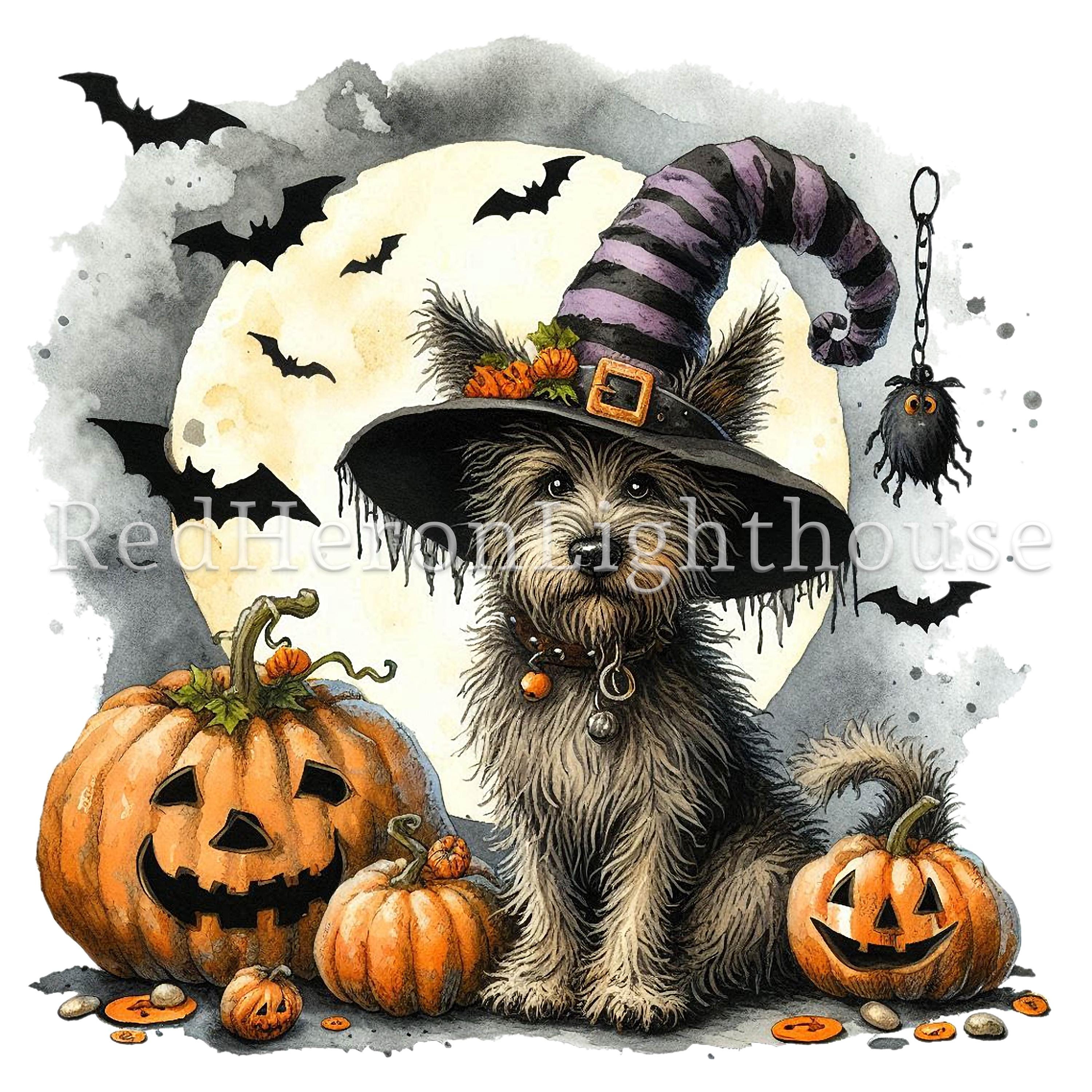 Halloween Witch Dog Clipart Set, 12 Png/jpegs, Quirky Dog & Pumpkins ...