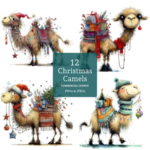 Kerstkameel clipart, 12 hoge kwaliteit png's/jpg's, grillige feestelijke kamelen, schattig winterdier, vakantie crafting, COMMERCIEEL GEBRUIK | AR1119