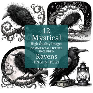 Mystical Raven Halloween Clipart 12 PNGs/JPGs, Designs de pássaros desleixados, Clipart gótico, Arte com caneta e tinta, USO COMERCIAL Download digital | AR0716