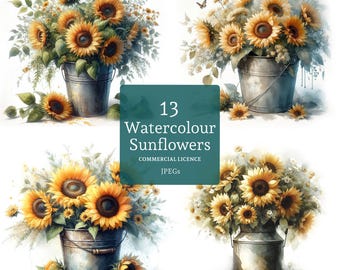 Imágenes prediseñadas de girasoles en un balde, 12 archivos JPG de alta calidad, imágenes prediseñadas florales de acuarela, creación de tarjetas, diario basura, USO COMERCIAL / BR0303-1