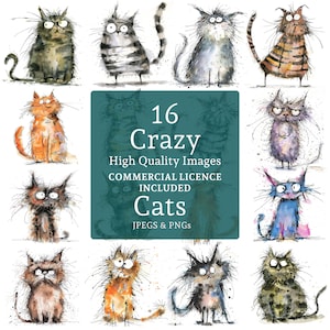 16 Crazy Cats Clipart High Quality Designs, 16 PNGs/JPGs, Funny Scruffy Animal Art, Crafting COMMERCIAL USE Digital Download | AR0515-1