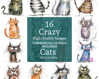 16 Crazy Cats Clipart High Quality Designs, 16 PNGs/JPGs, Funny Scruffy Animal Art, Crafting COMMERCIAL USE Digital Download | AR0515-1