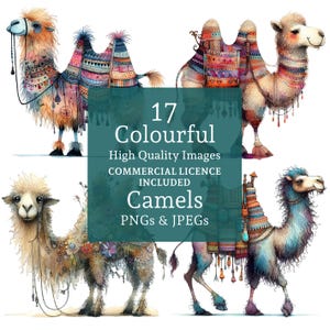 Clipart di cammelli colorati, 17 PNG/JPG, immagini di cammelli estivi stravaganti, simpatici disegni di animali di arte popolare, USO COMMERCIALE Download digitale / AR0729
